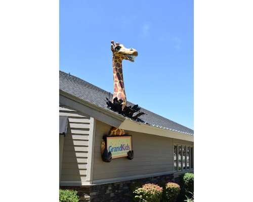 Imagen no disponible