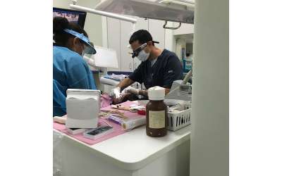 Descripción de la imagen