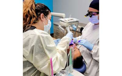 Descripción de la imagen