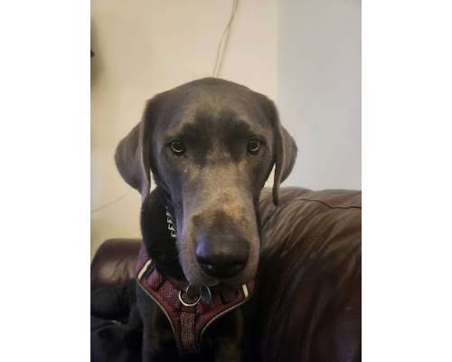 Imagen no disponible