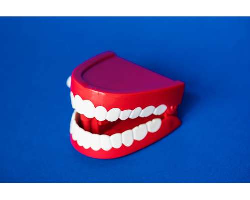 Imagen no disponible