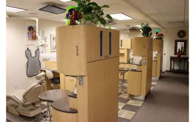 Descripción de la imagen