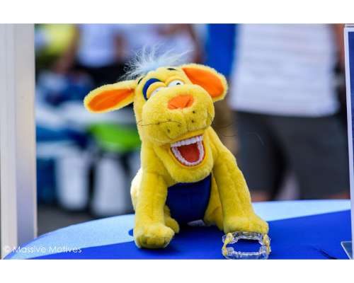 Imagen no disponible