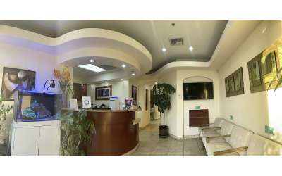 Descripción de la imagen