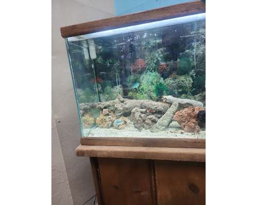 Imagen no disponible