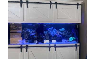 Descripción de la imagen