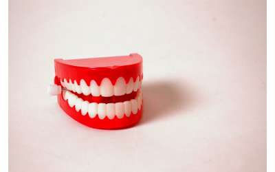 Descripción de la imagen