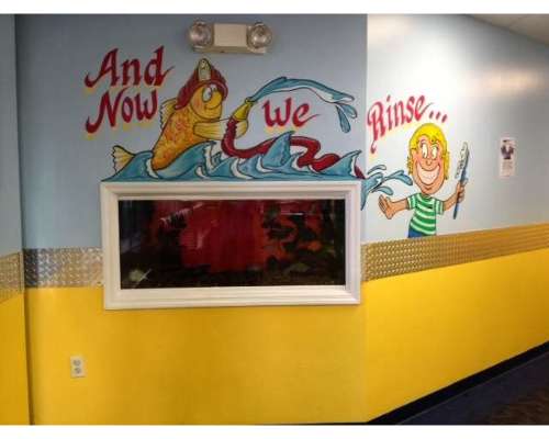 Imagen no disponible