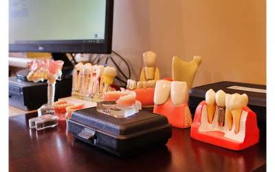 Descripción de la imagen