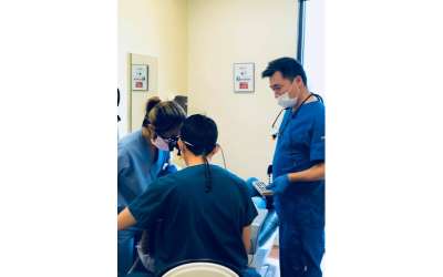 Descripción de la imagen