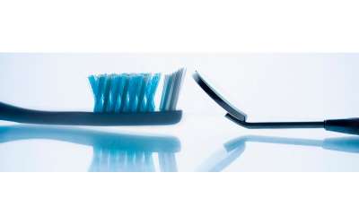 Descripción de la imagen