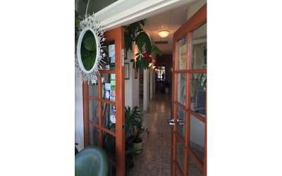 Descripción de la imagen