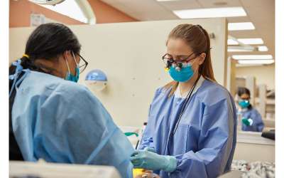 Descripción de la imagen