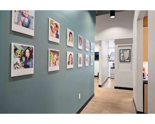 Imagen no disponible